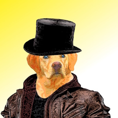 Digital Loyal Friends 2